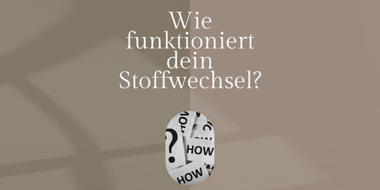 Wie funktioniert dein Stoffwechsel?